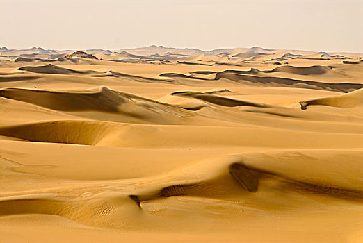 海洋,沙丘,沙子,西瓦绿洲,埃及,非洲