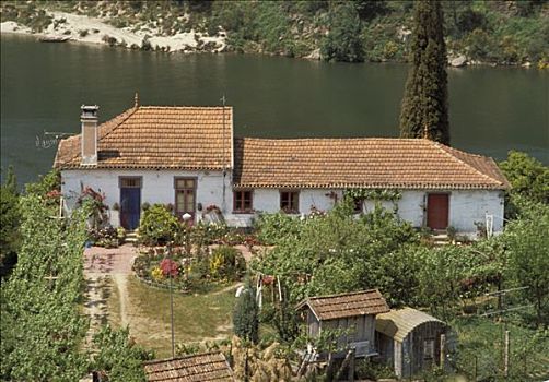 葡萄牙,山谷,俯视图,农舍,边缘,河,花园