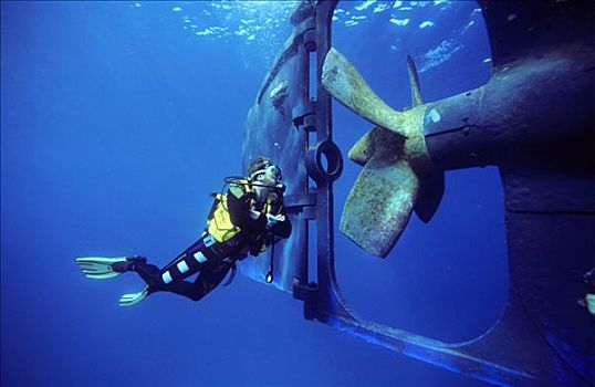 潜水者,检查,螺丝,螺旋桨,红海,埃及,非洲