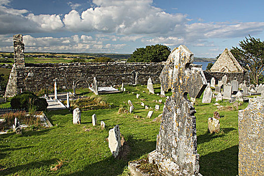 大教堂,墓地,芒斯特,区域,沃特福德郡,爱尔兰