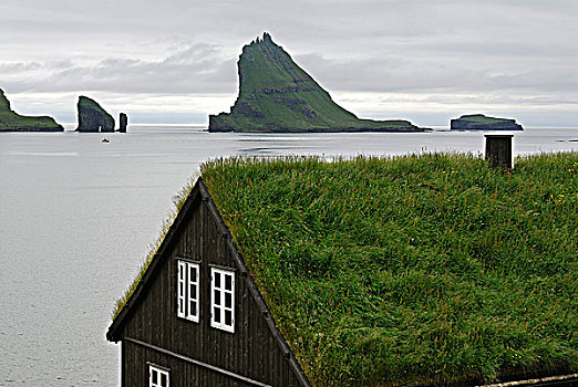 丹麦,群岛,传统,家,草,屋顶,小岛