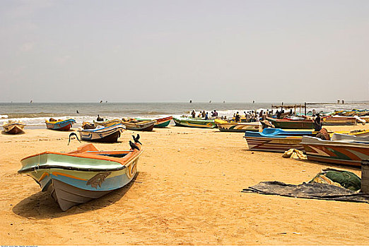 渔船,海滩,斯里兰卡