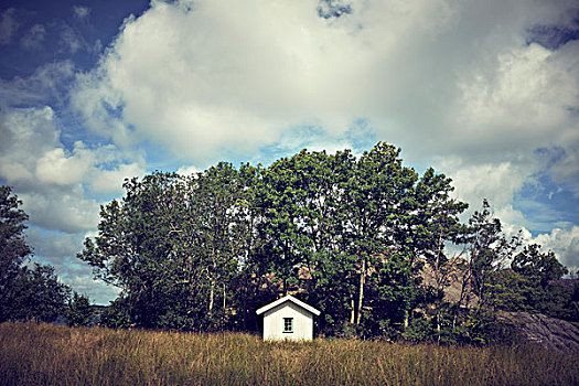 夏天,风景,建筑