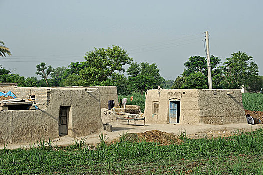 乡村,传统,房子,旁遮普,巴基斯坦,亚洲