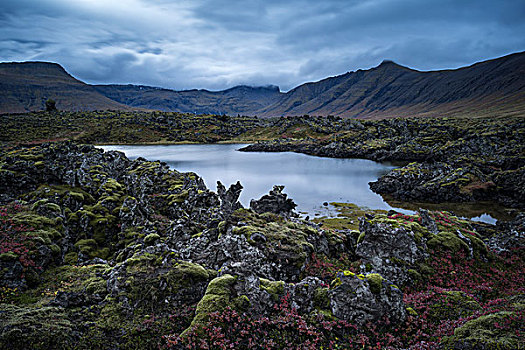 水塘,熔岩原,斯奈山半岛,冰岛