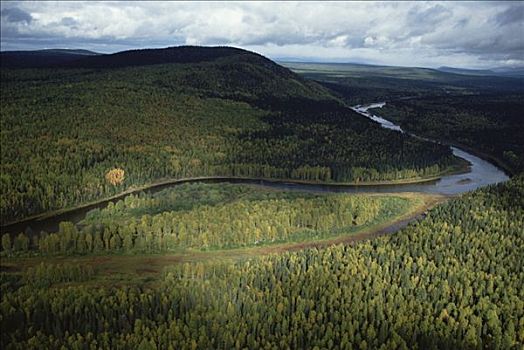 河谷,山,遮盖,树林,生物保护区,山峦,俄罗斯