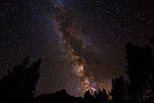 银河,上方,荒野,内华达山脉,加利福尼亚,美国