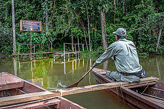 独木舟,自然,亚马逊盆地,秘鲁