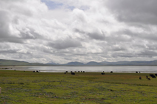甘南第一大淡水湖,甘南尕海湖