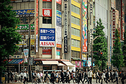 东京,日本,五月,街道,风景,首都,城市,区域,世界