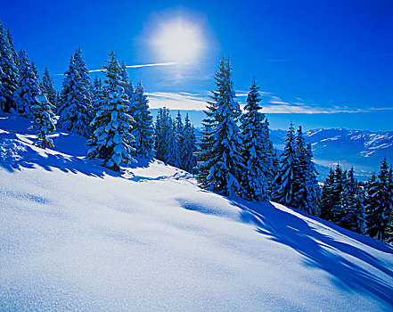 冬季风景,提洛尔,奥地利,欧洲
