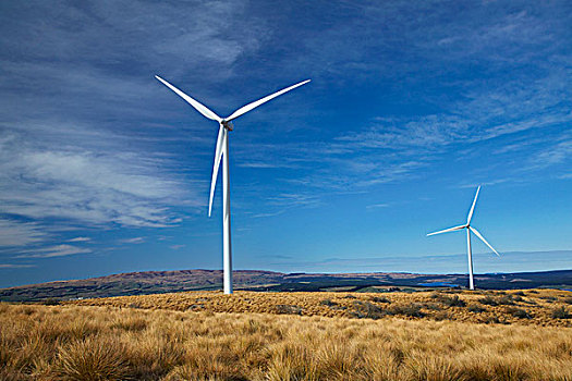风电场,奥塔哥,南岛,新西兰