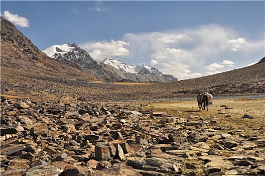 干燥,山谷,塔吉克斯坦