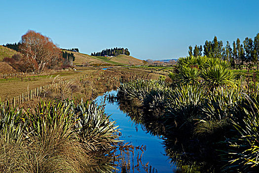 排水,水道,细条,靠近,南岛,新西兰