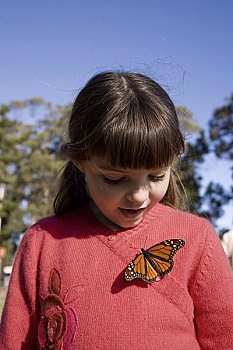 蝴蝶,女孩,黑脉金斑蝶,小树林,加利福尼亚,美国