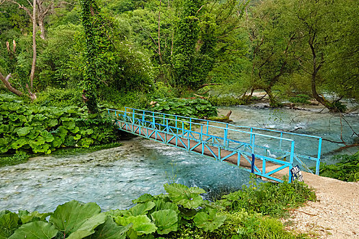 桥,上方,河,蓝眼睛,喀斯特地貌,靠近,阿尔巴尼亚,欧洲
