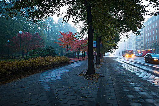 平静,街道,城市,雨