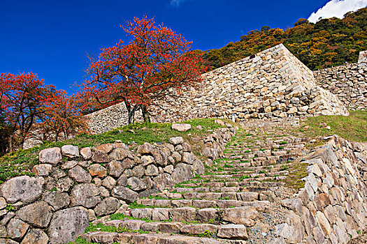 城堡,场所