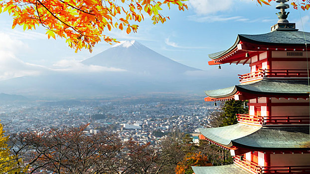 山,富士山,秋天,红枫,叶子,日本