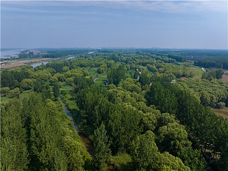 枣庄滕州微山湖红荷湿地公园