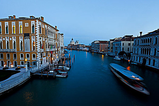 汽艇,水,巴士,威尼斯,意大利,大运河