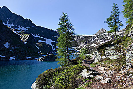 阿尔卑斯山