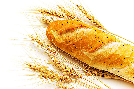 面包,麦穗,隔绝,白色背景