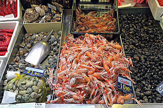 挪威海蛰虾,蛤,牡蛎,海螺,鱼市,毕尔巴鄂,巴斯克,西班牙