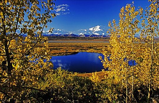 景色,秋色,山,麦金利山,壶,水塘,德纳里峰国家公园,阿拉斯加