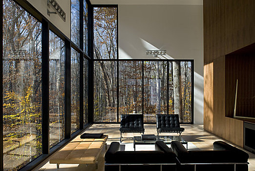 房子,建筑师,弗吉尼亚,美国,2009年,客厅,室内