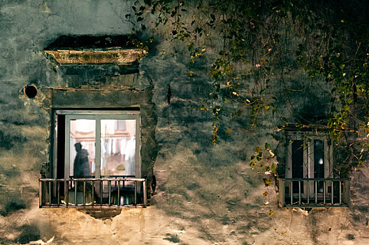 苏州平江路古建筑印满绿苔的墙与窗内的行人