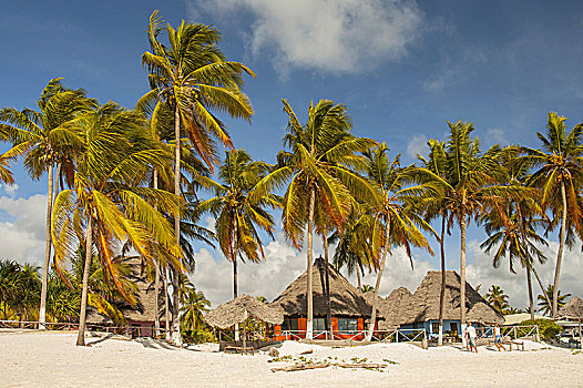 漂亮,桑给巴尔岛,海滩,酒店,传统,异域风情,海滩小屋,坦桑尼亚