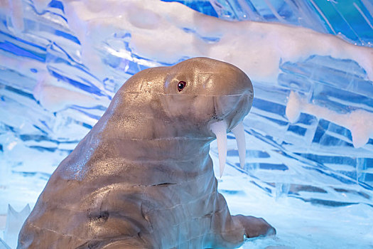 四川成都极地海洋公园冰雪乐园里的海象冰雕