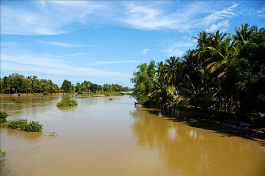 湄公河,椰树,禁止,老挝