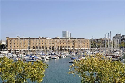 船,港口,加泰罗尼亚,历史,博物馆,贝尔港,小巴塞罗那,区域,巴塞罗那,西班牙,欧洲
