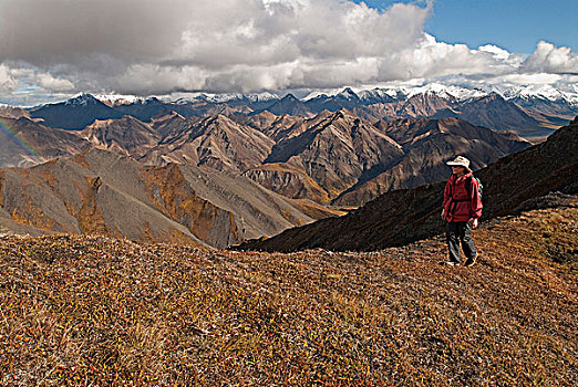 景色,风景,远足者,走,高山,山脊,高处,圆顶小屋,峡谷,德纳里峰国家公园,室内,阿拉斯加,秋天