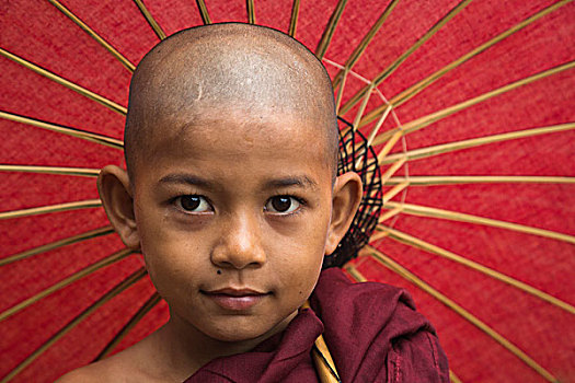 缅甸,头像,年轻,僧侣,伞