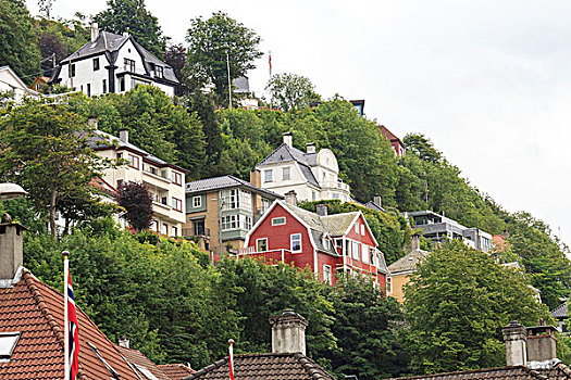 山坡,家,卑尔根,挪威