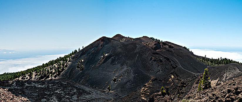 火山,路线,自然公园,帕尔玛,加纳利群岛,西班牙,欧洲