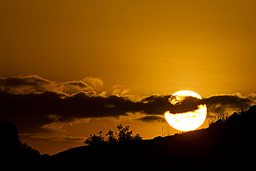 非洲,坦桑尼亚,塞伦盖蒂国家公园,日落,云