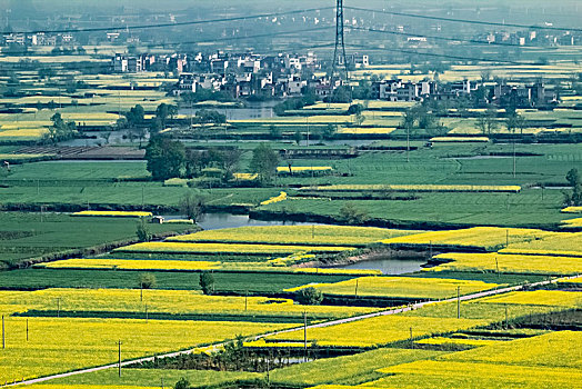 安徽省芜湖市响水涧油菜花田园乡村自然景观