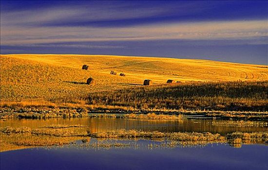 干草包,地点,日出,靠近,萨斯喀彻温,加拿大
