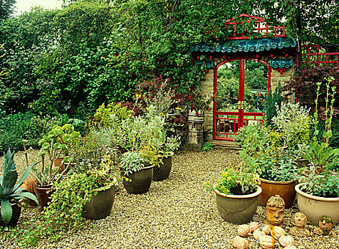 中式,入口,花园,罐,砾石,区域