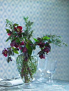 菟葵,花束,玻璃花瓶
