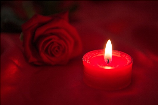 蜡烛,红玫瑰