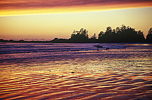 冲浪,狗,离开,水,日落,靠近,温哥华岛,不列颠哥伦比亚省,加拿大