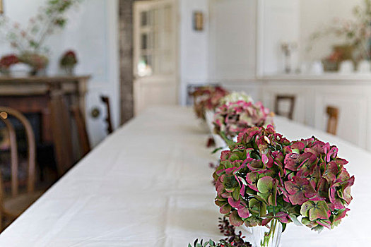长,餐桌,八仙花属