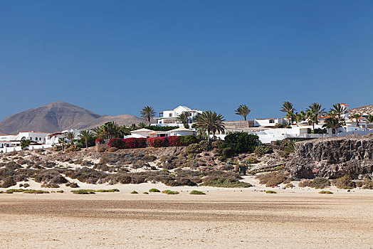 白色,建筑,棕榈树,房子,富埃特文图拉岛,加纳利群岛,西班牙,欧洲