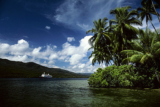 所罗门群岛,泻湖,岛屿,椰树,探索者