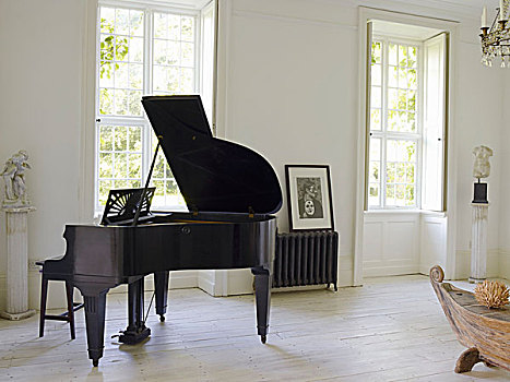 客厅,擦亮,表面,大钢琴,粉笔,白色,墙壁,柠檬,洗,地板